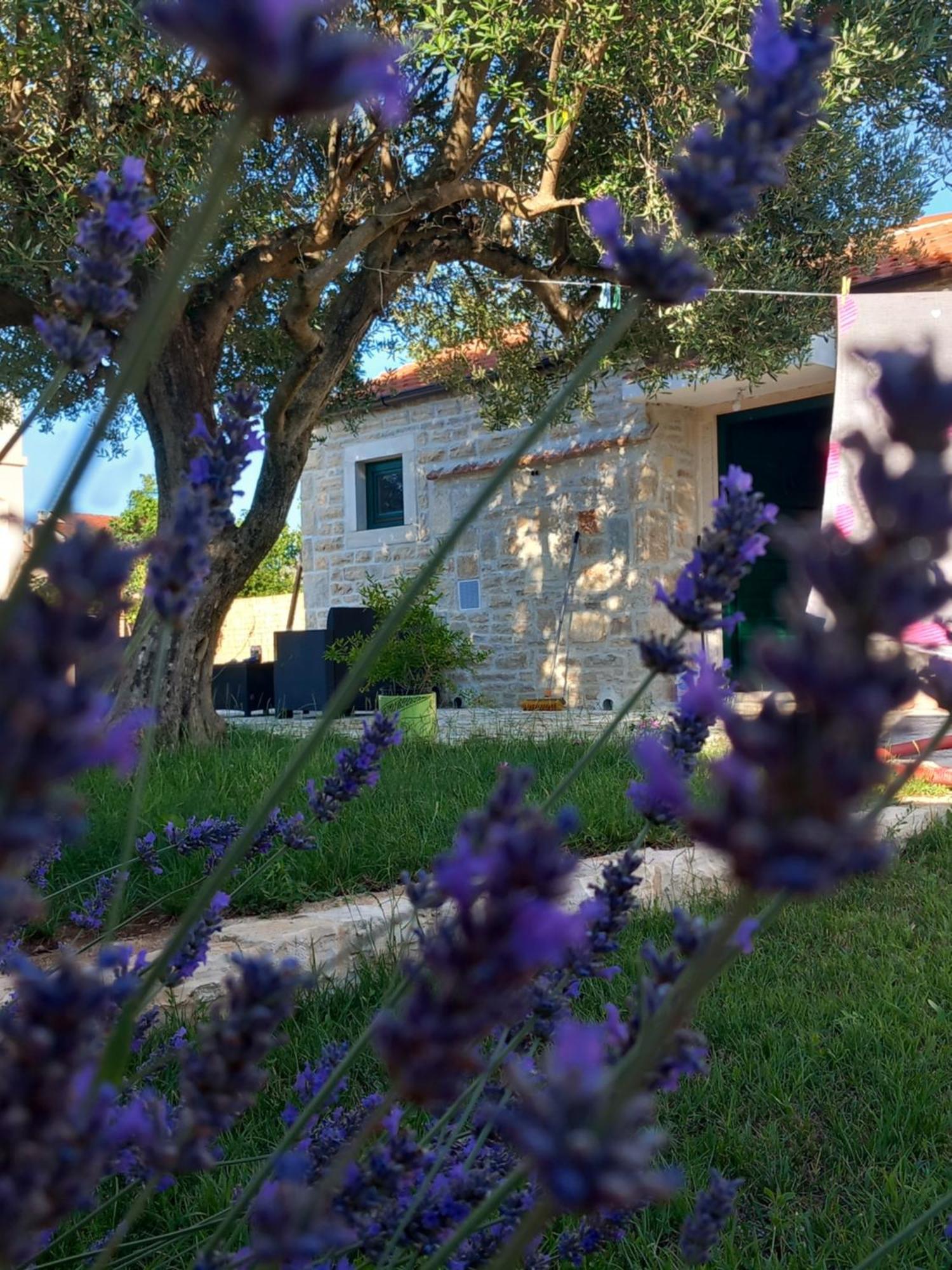 Villa Leggiero à Benkovac Extérieur photo